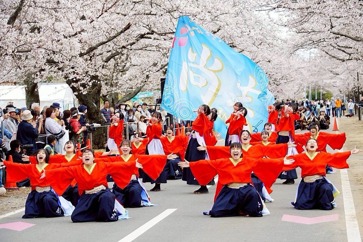 尚志高校MINERVA tweet media