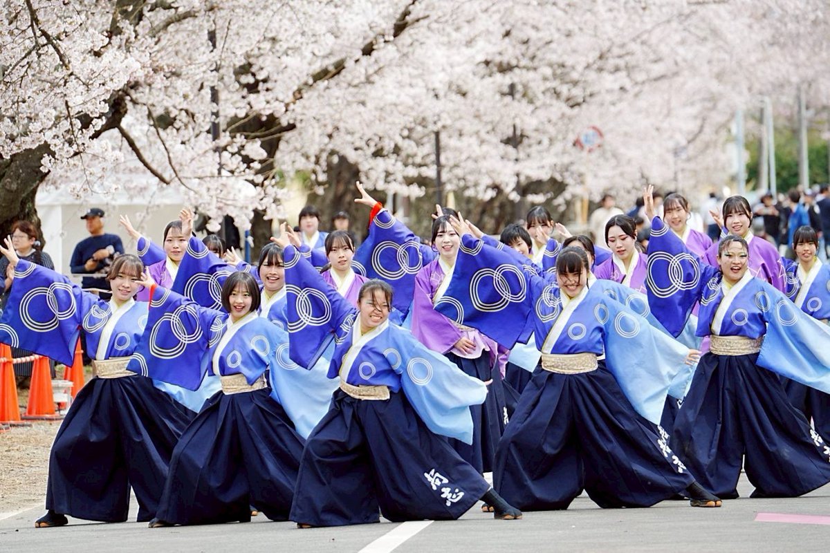 尚志高校MINERVA tweet media