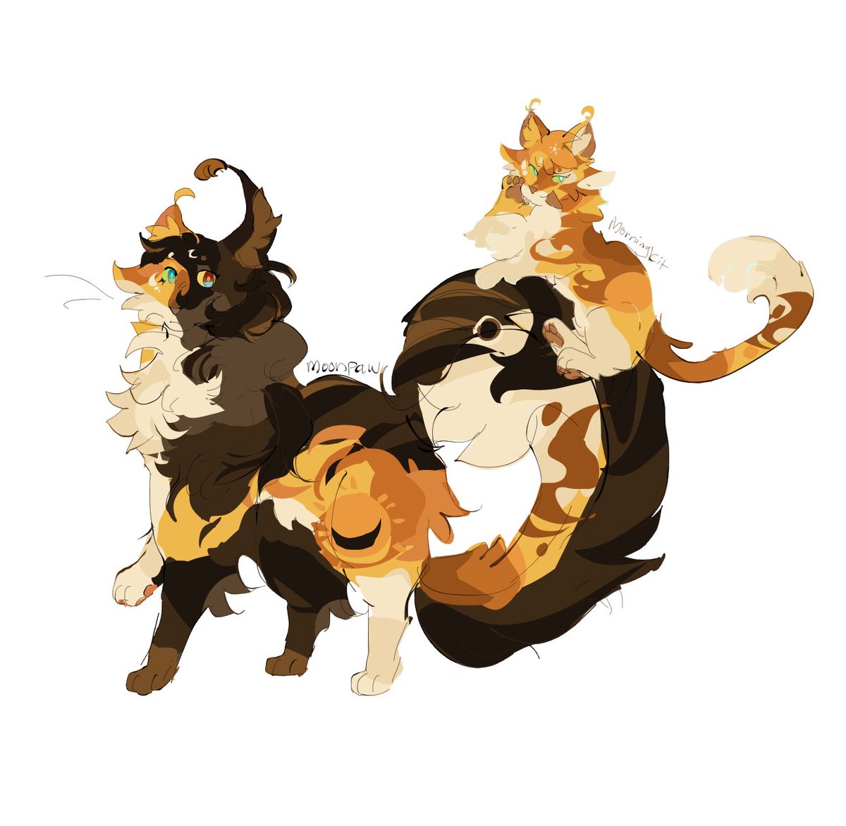 teabagistired's tweet image. Me and twin whom I’ve absorbed in the womb 
#warriorcats #moonpaw #morningkit #teabagcats