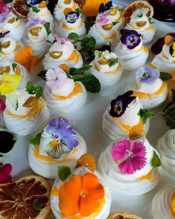 Eastern Cape Development Corporation tweet media