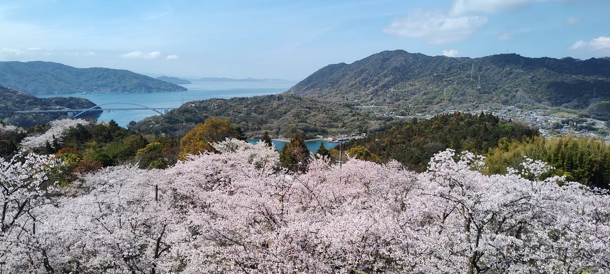 ヘイルストーム@🚗🌵🆓 tweet media