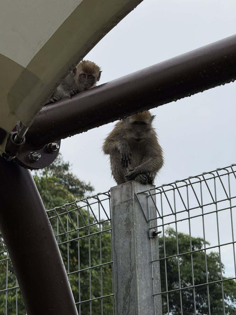 Shifty's Media Tab (@shiftyillust) on Twitter photo 