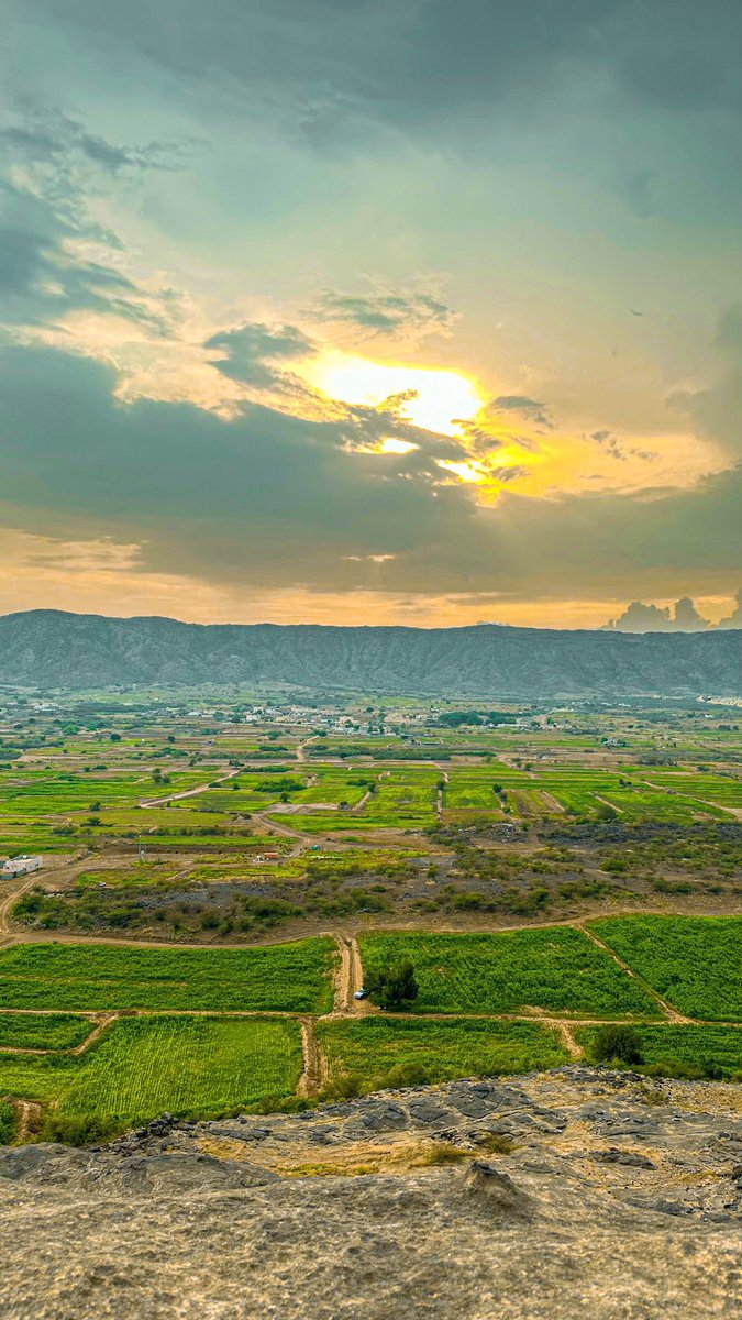 Made In Saudi tweet media