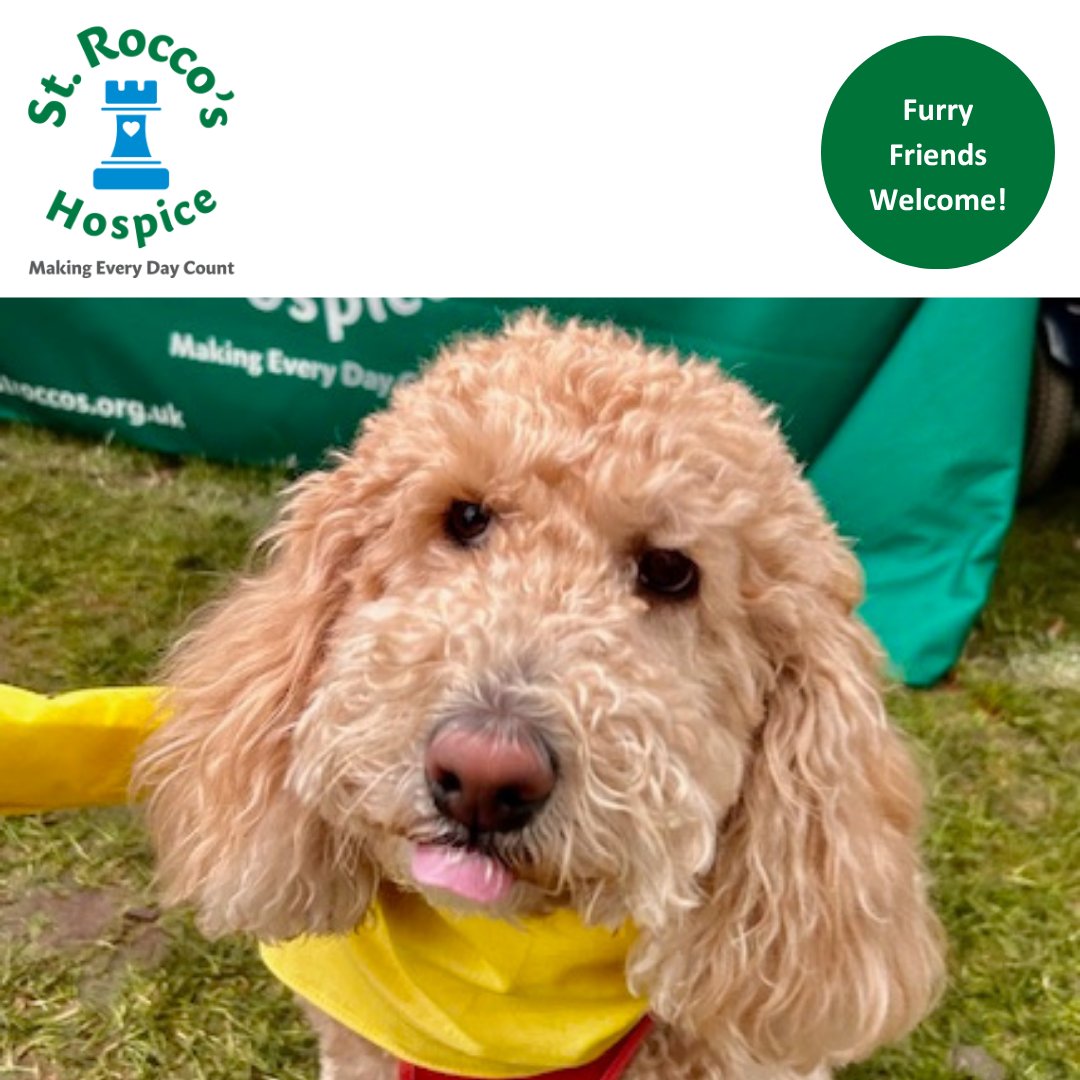 _StRoccos's tweet photo. We know how much comfort and joy our furry friends bring 💚

Being around animals during challenging times can provide comfort, support, and bring back happy memories when they are needed. https://t.co/7c63QuYZyS