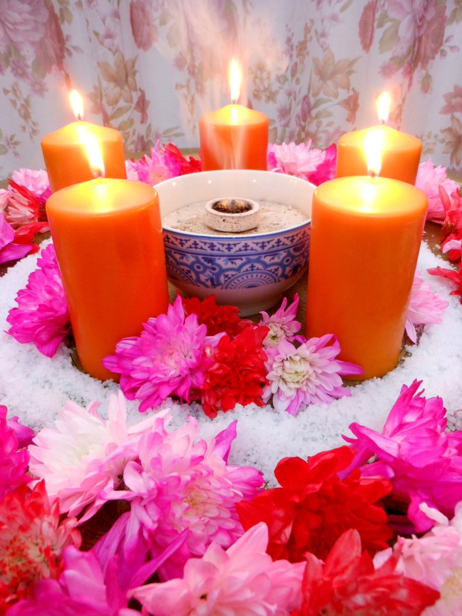 Carolina Gonzalez tweet media