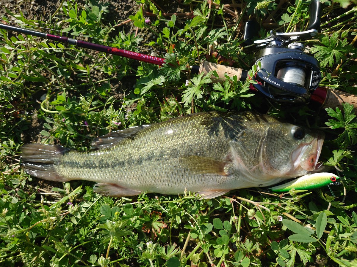 SOU (STAR GEAR) tweet media