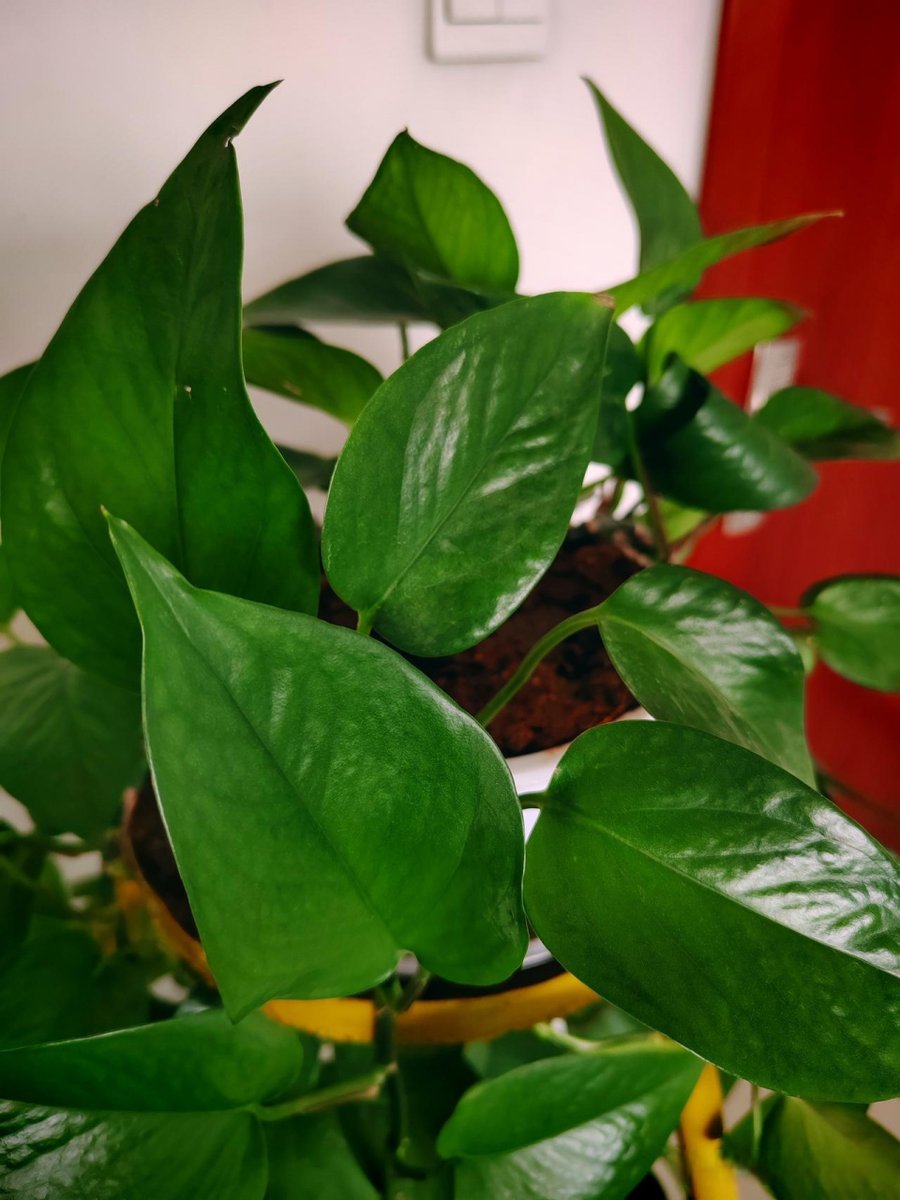 Tracey Mad tweet media