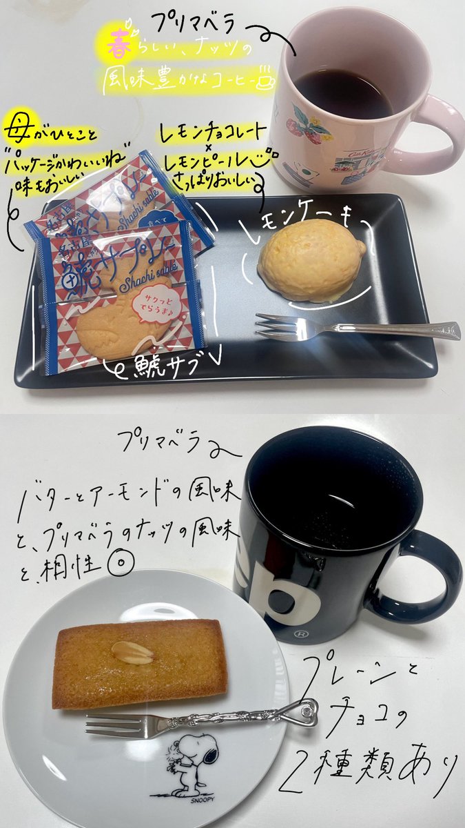 ma8rin03ke's tweet photo. 【SNS審査対象②】
4/6(月)、4/7(火)のおやつ🍋.︎︎⟡*
・レモンケーキ
・鯱サブレー
・アマンドレーヌ

洋菓子、和菓子とも合いそうな、さっぱり春らしいナッツの風味のコーヒーをチョイスしました☕︎
レモンケーキを常温に、コーヒーと共にいただきました🤤(実はレモンケーキ2個目)
特にレモンケーキは、レモンチョコレートがくどくなく、さっぱりしてて美味しい🤤✨
気になる商品があれば、コメントで教えてください☑️

RP、いいね、引用で応援お願いします📣

#元祖鯱もなか

①はこちら⬇️
