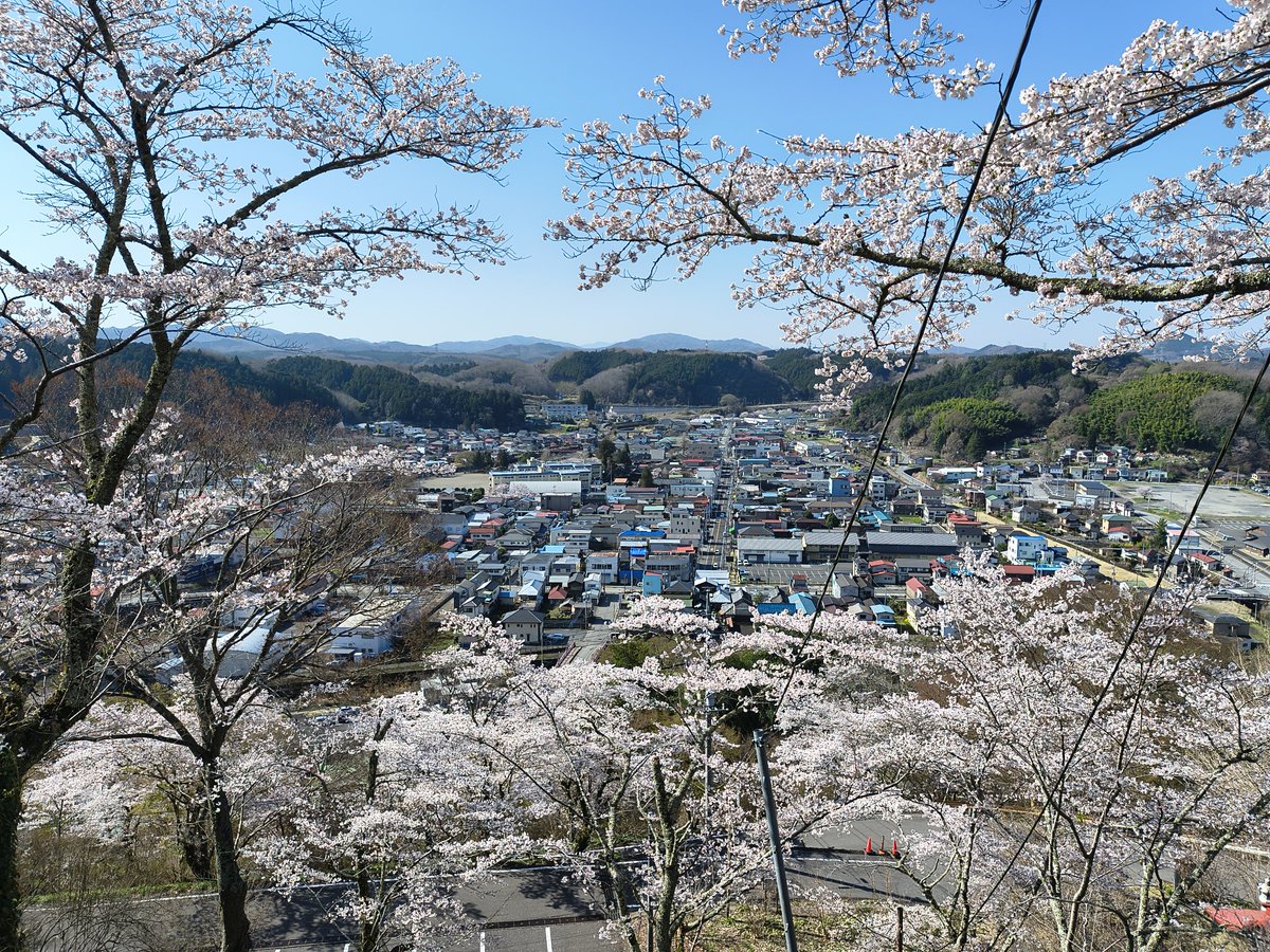 Yuuchar's tweet photo. 桜巡りのついでに、ご利益ありそうな神社に偶然出会いました😺 https://t.co/wPZ4a0KVRS