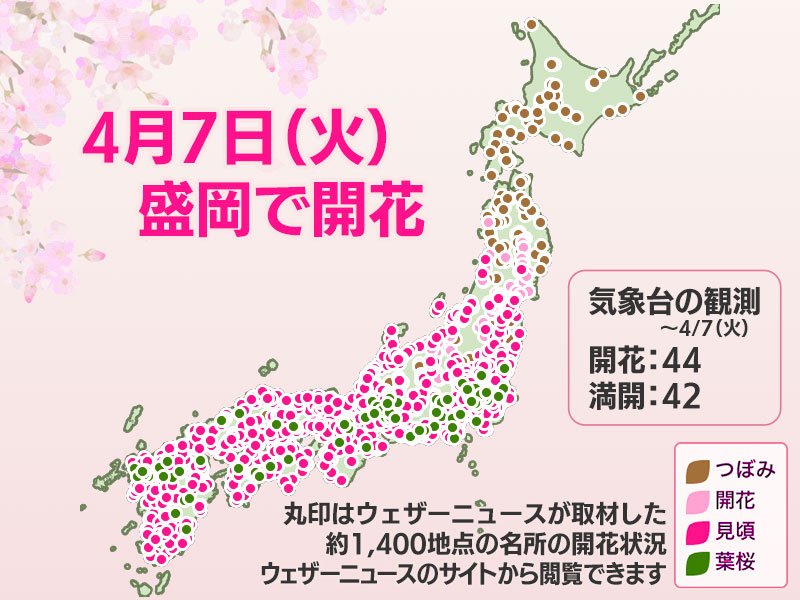 ウェザーニュース tweet media