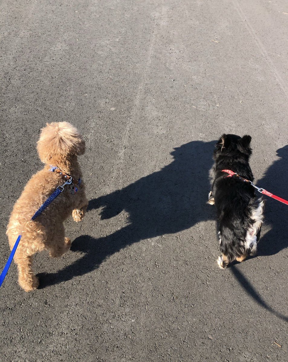 麺ぱこ tweet media