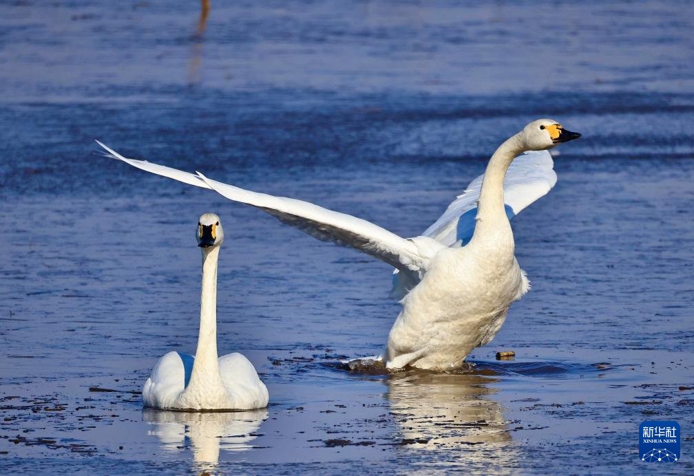 人民日報 People's Daily tweet media