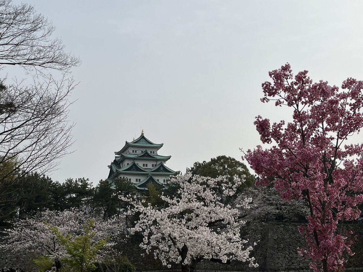 第5回日本老年療法学会学術集会@Nagoya tweet media