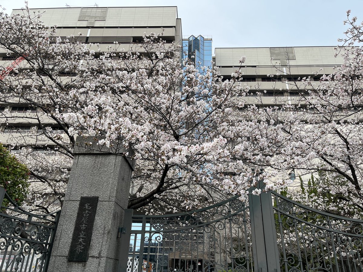 第5回日本老年療法学会学術集会@Nagoya tweet media