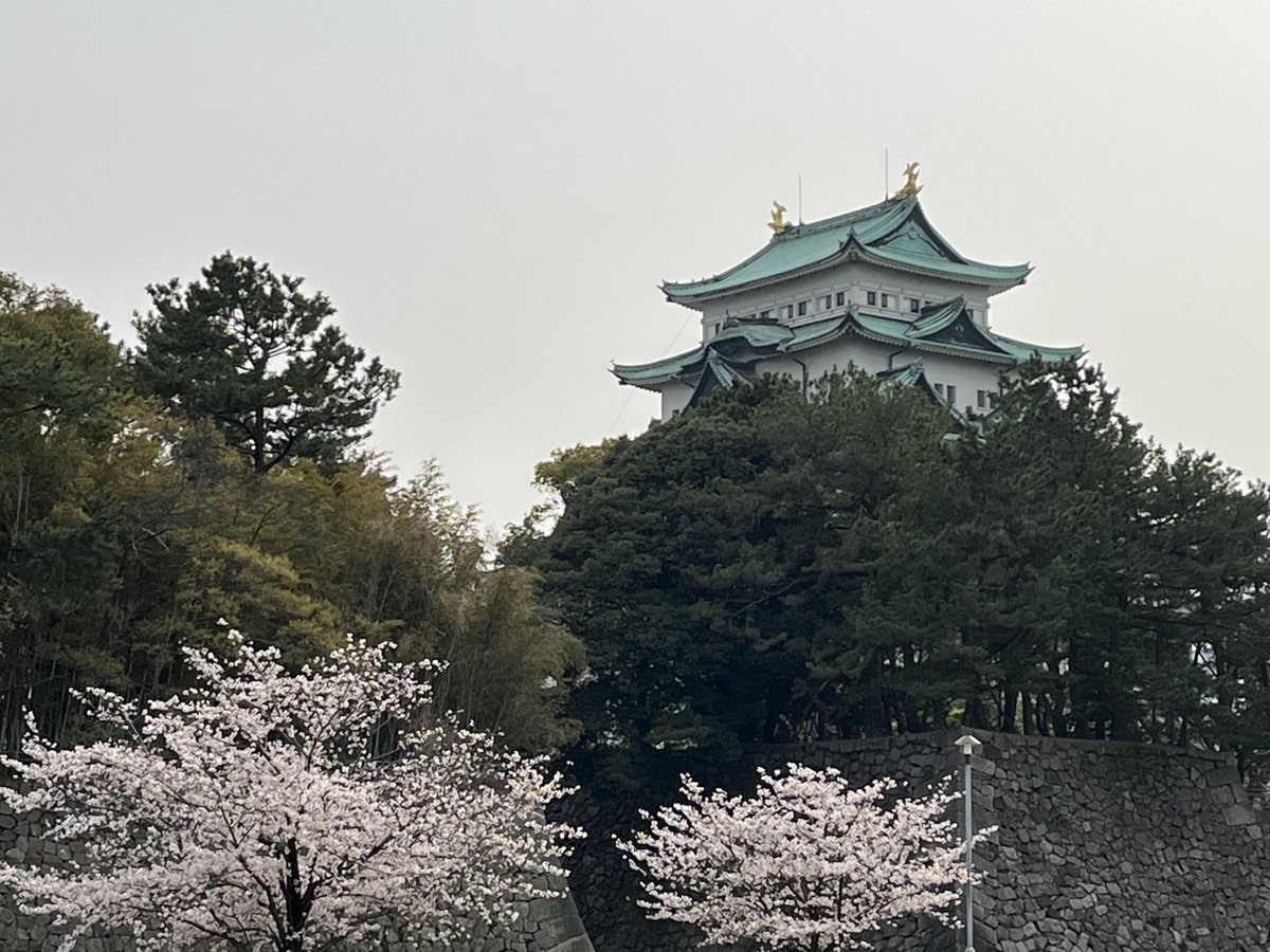 第5回日本老年療法学会学術集会@Nagoya tweet media