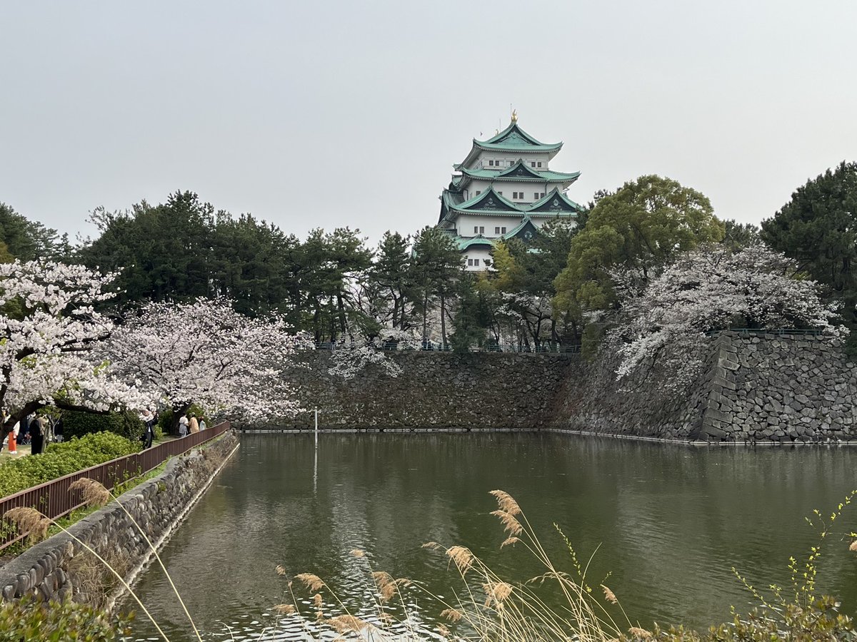 第5回日本老年療法学会学術集会@Nagoya tweet media