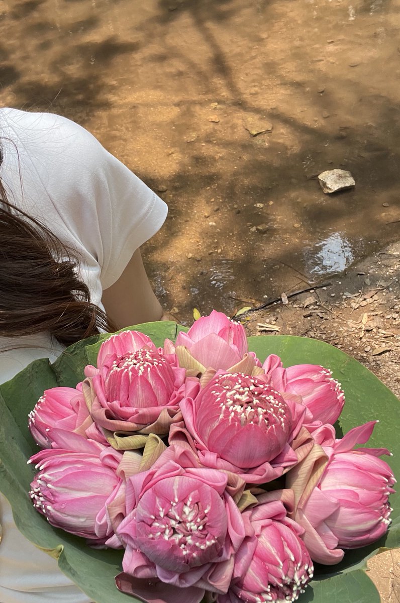 เซินเซินรักบิบี๋ 🪻 森 tweet media