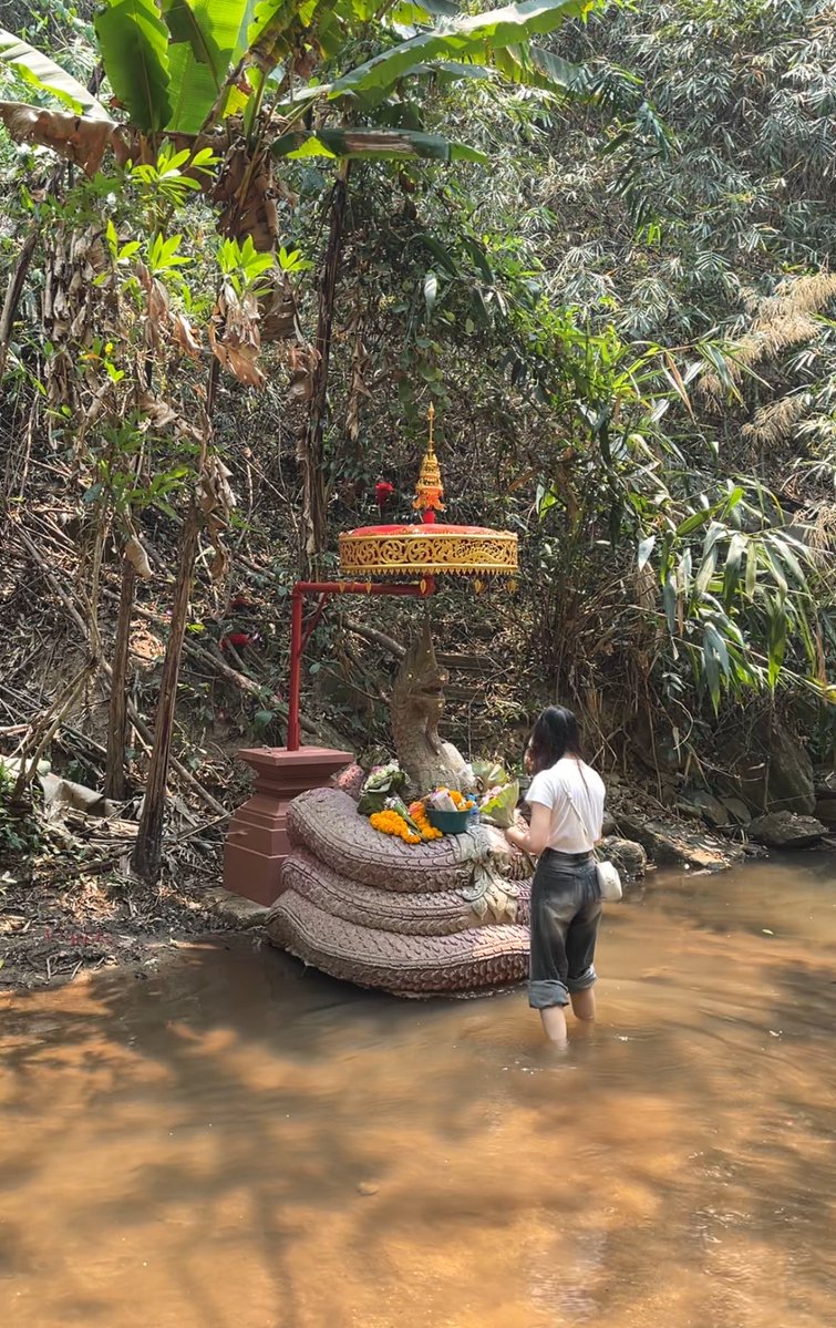 เซินเซินรักบิบี๋ 🪻 森 tweet media