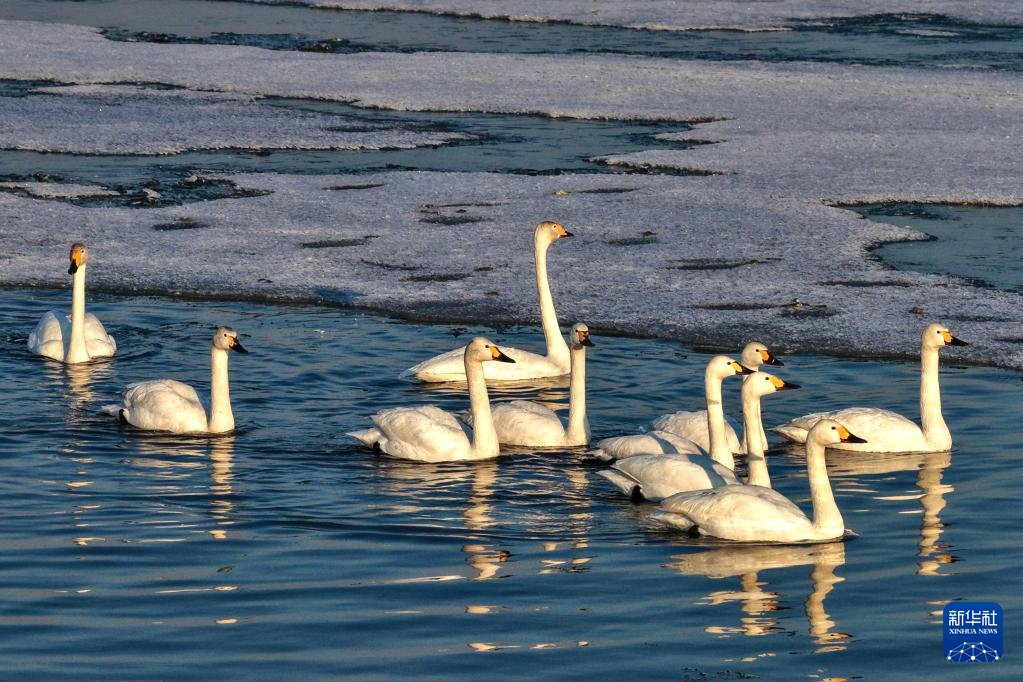 人民日報 People's Daily tweet media