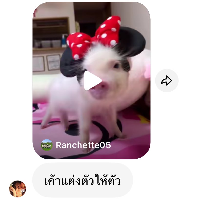 MYANTON THAILAND tweet media