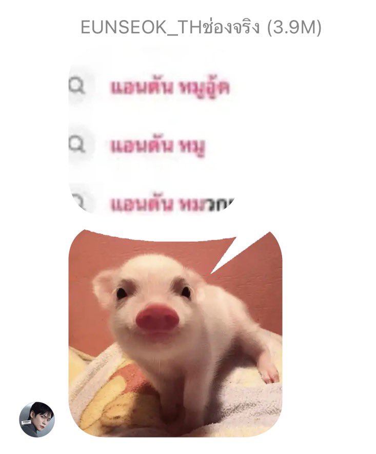 MYANTON THAILAND tweet media