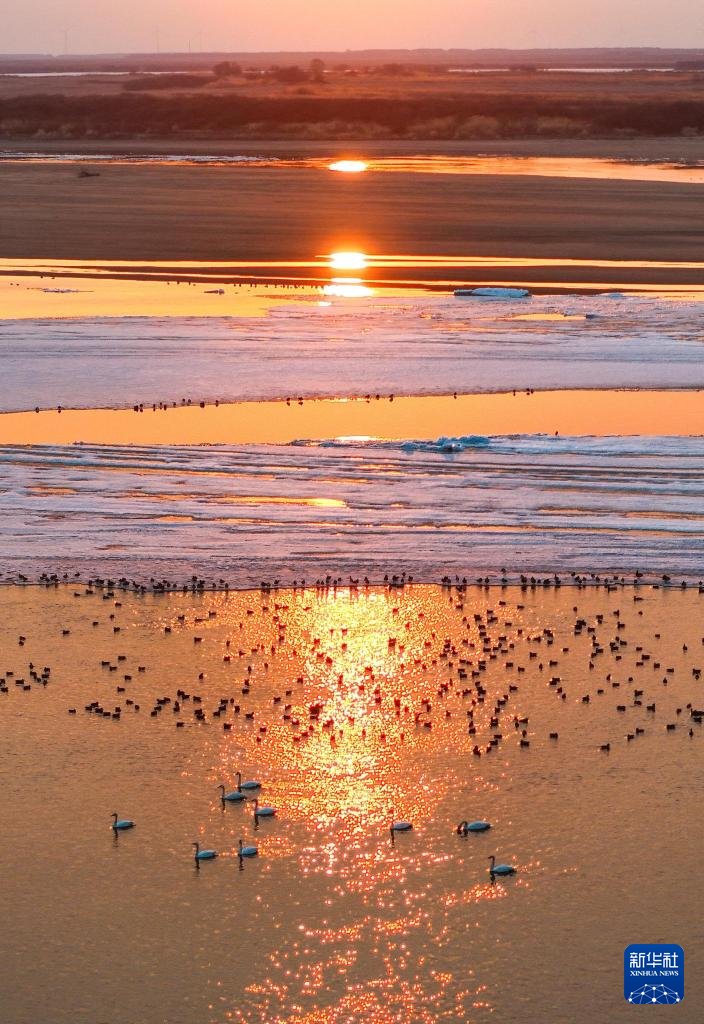 人民日報 People's Daily tweet media