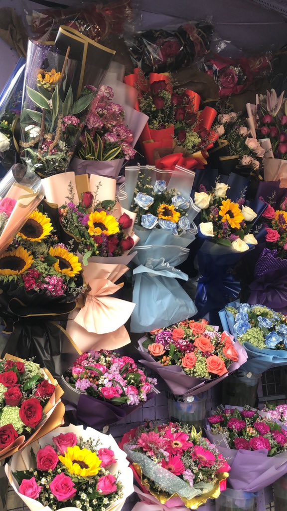 softpetalview's tweet photo. https://t.co/Ulu4VInCOm