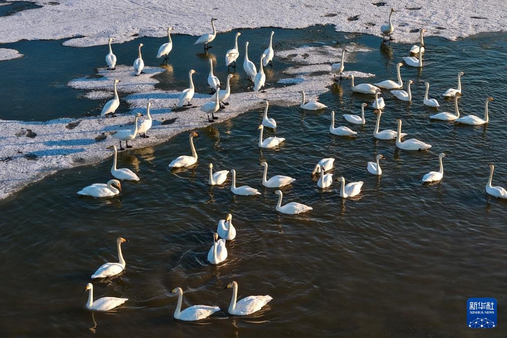 人民日報 People's Daily tweet media