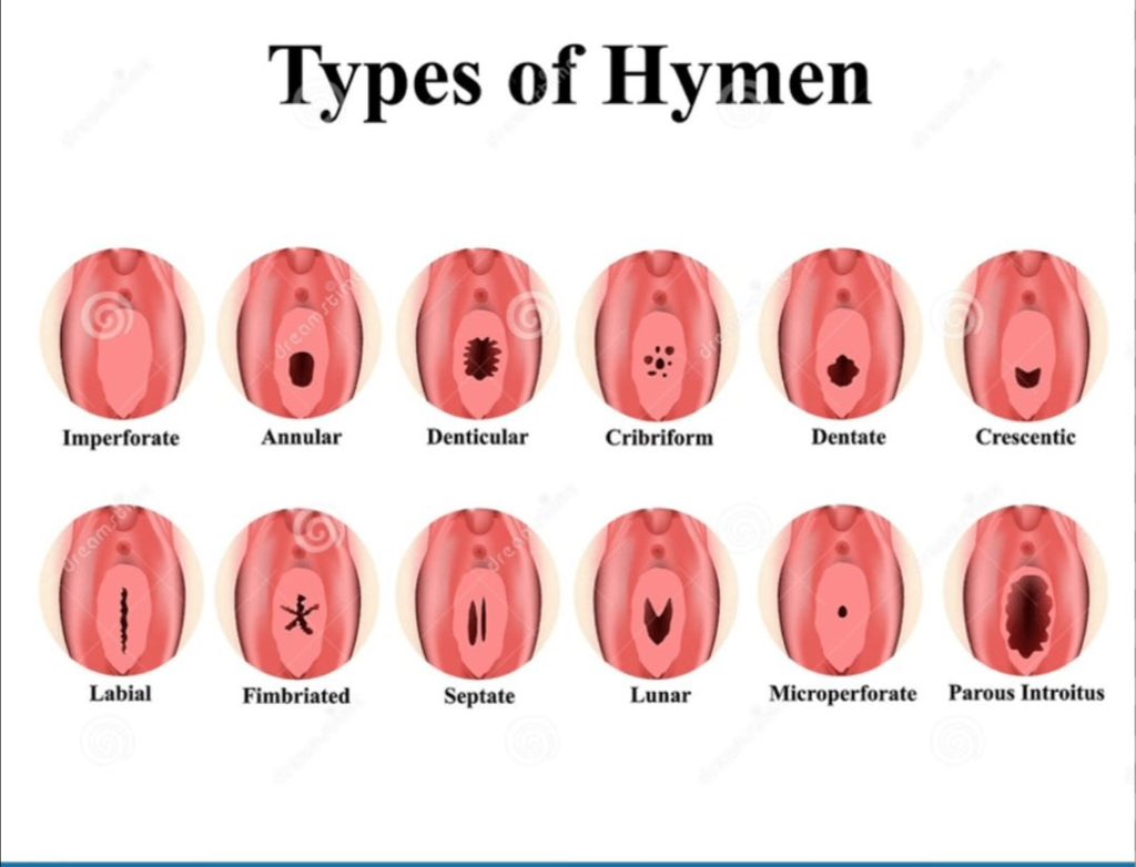 Medical knowledge tweet media