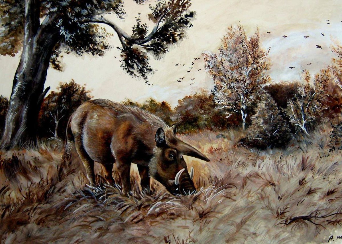 🦤💀🦴⛏️Paleo_Daddy⛏️🦕🦖🦣 tweet media