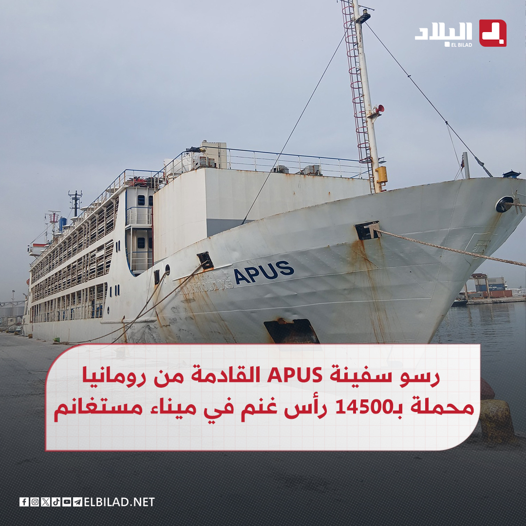 El_Bilade's tweet image. 📍 رسو بميناء مستغانم السفينة #APUS القادمة من #رومانيا و المحملة بـ14500رأس غنم
📍يتم تفريغ السفينة باشراف الديوان الحهوي للحوم بالغرب ORVO/ALVIAR، والذي سخر جميع الوسائل اللوجستية و البشرية
📍 أشرفت المصالح البيطرية على عملية المراقبة الصحية للقطيع ، وكذا مرافقته الى غاية مراكز