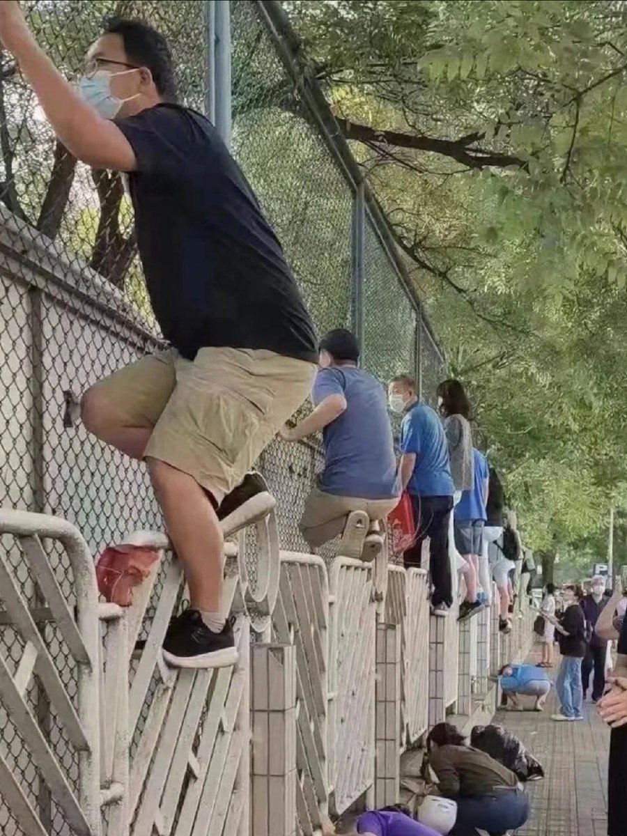 tian tian tweet media