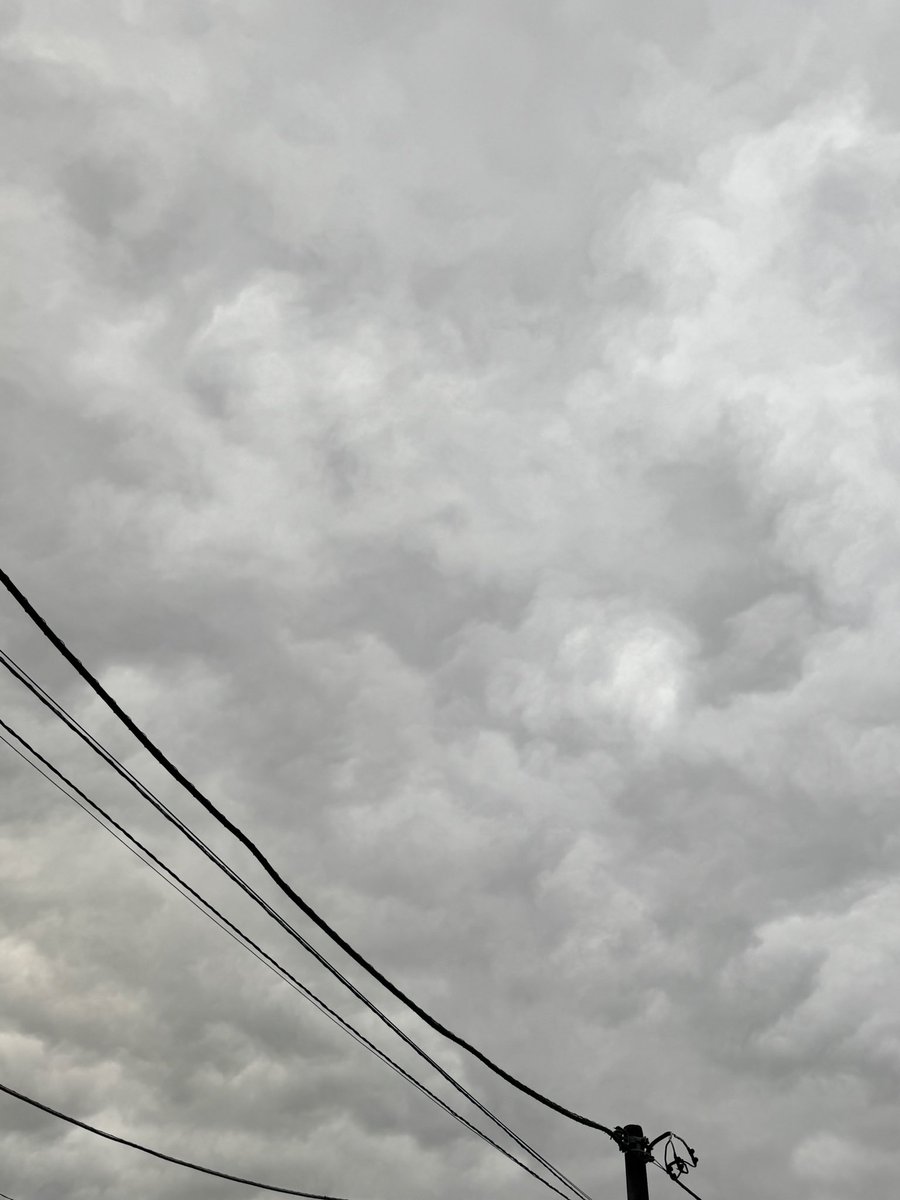 IMAIZUMI Mitzyuki tweet media