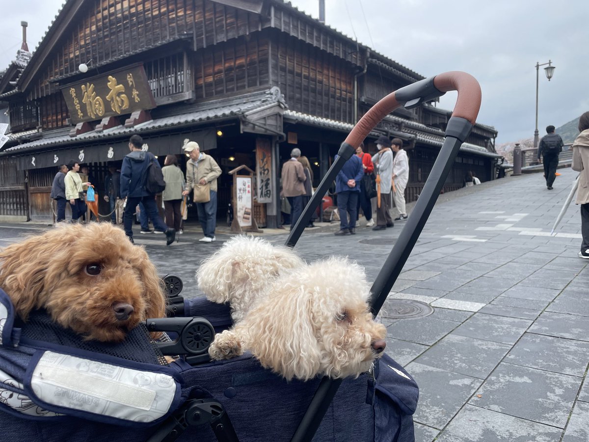 sdrdhd's tweet photo. 三重県を徘徊中。 https://t.co/URH2c6HqdV