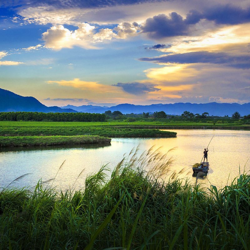 FAOclimate's tweet image. Healthy people, animals, and ecosystems are deeply connected. 🌍🌱  

One Health means working across sectors to prevent disease, protect biodiversity, and build resilient agrifood systems.  

Stronger together for a healthier future. #OneHealth #ClimateAction