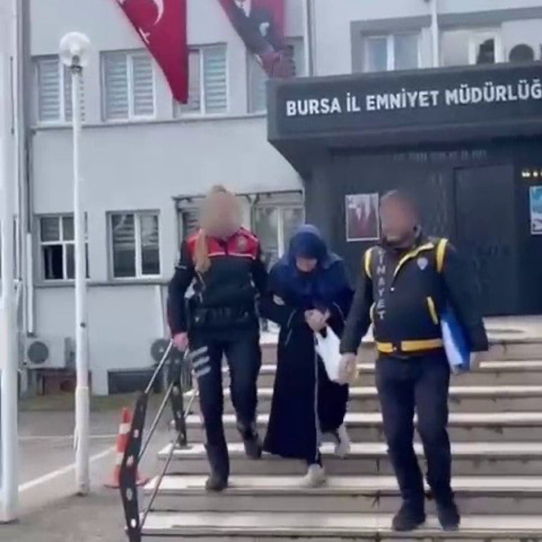 Sokak Kedisi tweet media