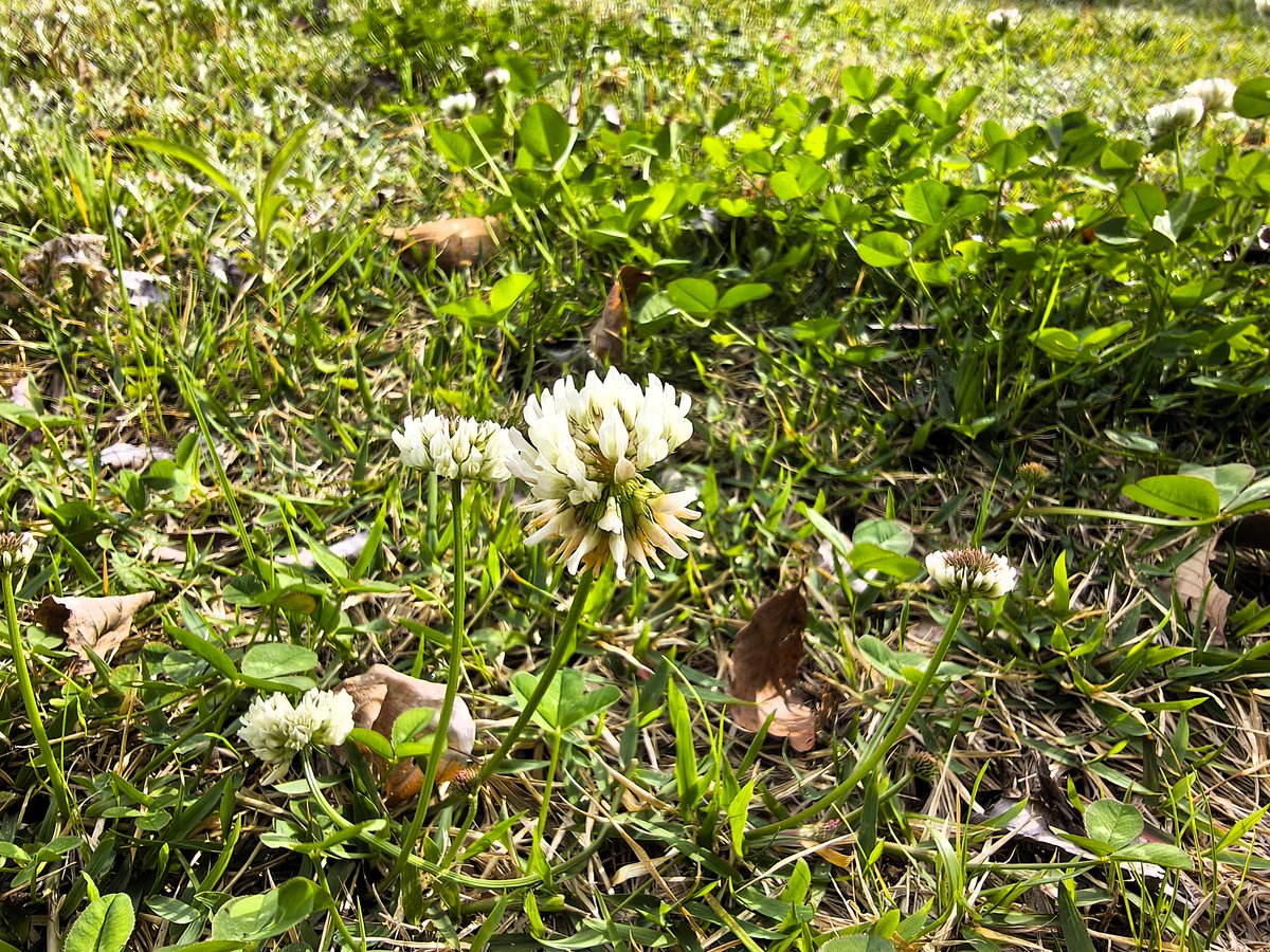 三重県立熊野古道センター tweet media