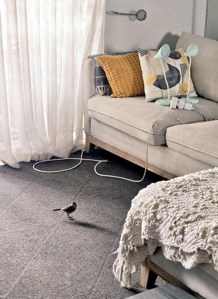 Thandekile Moyo tweet media