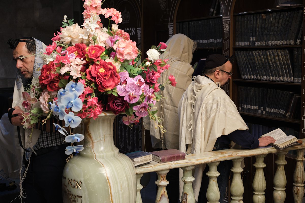 Jaime León tweet media