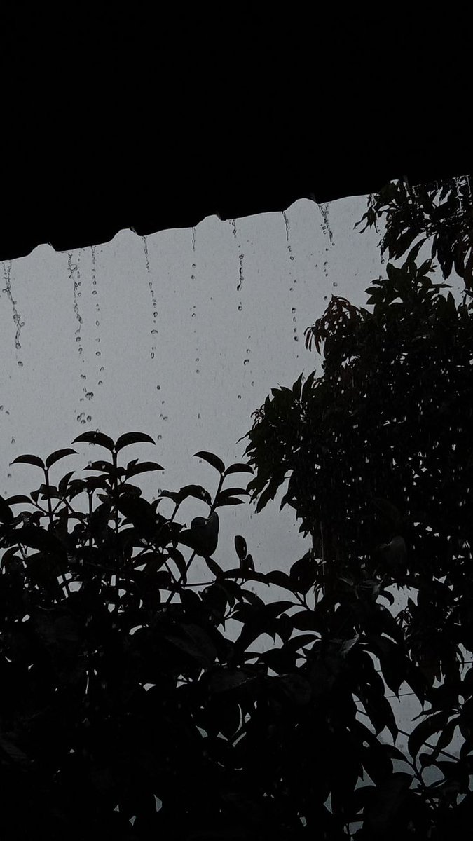 SEHAR 🕊️ tweet media