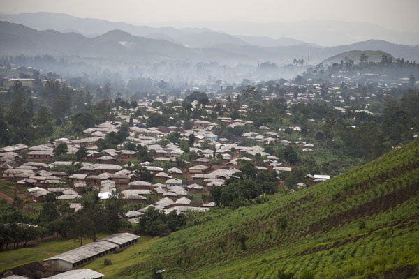 Grenville Ctrl tweet media