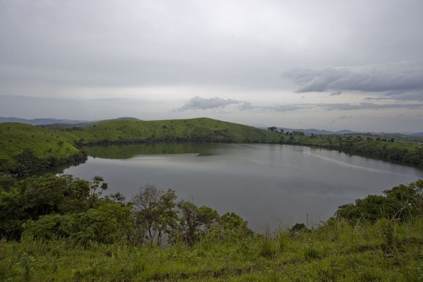 Grenville Ctrl tweet media