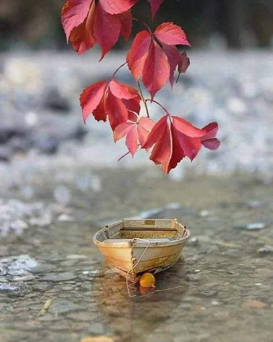 Åñöñymöüs💎 tweet media