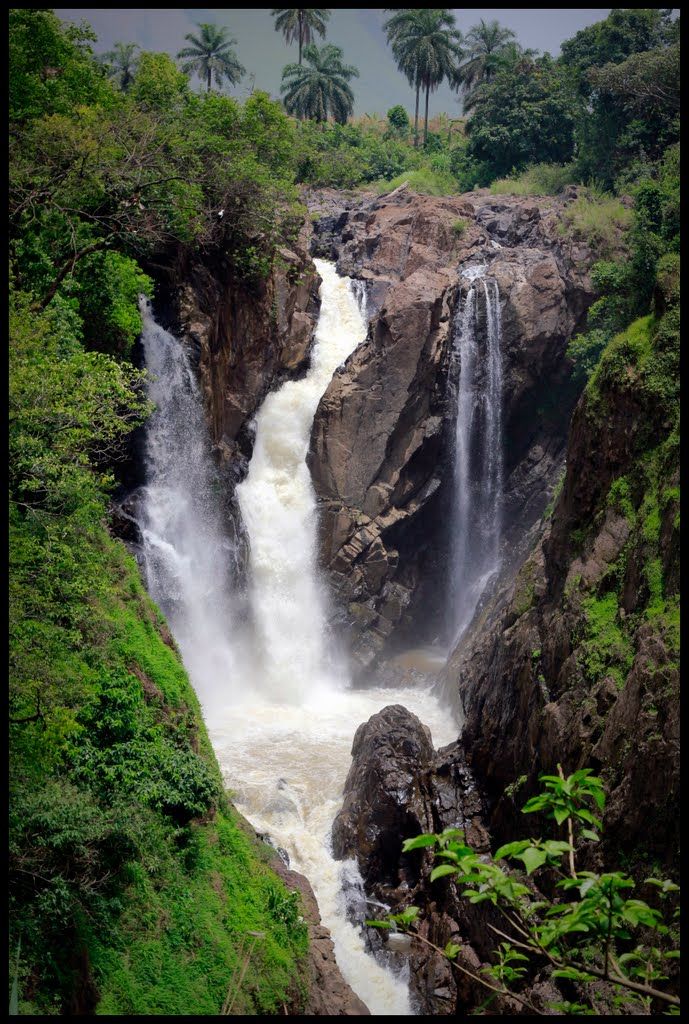 Grenville Ctrl tweet media