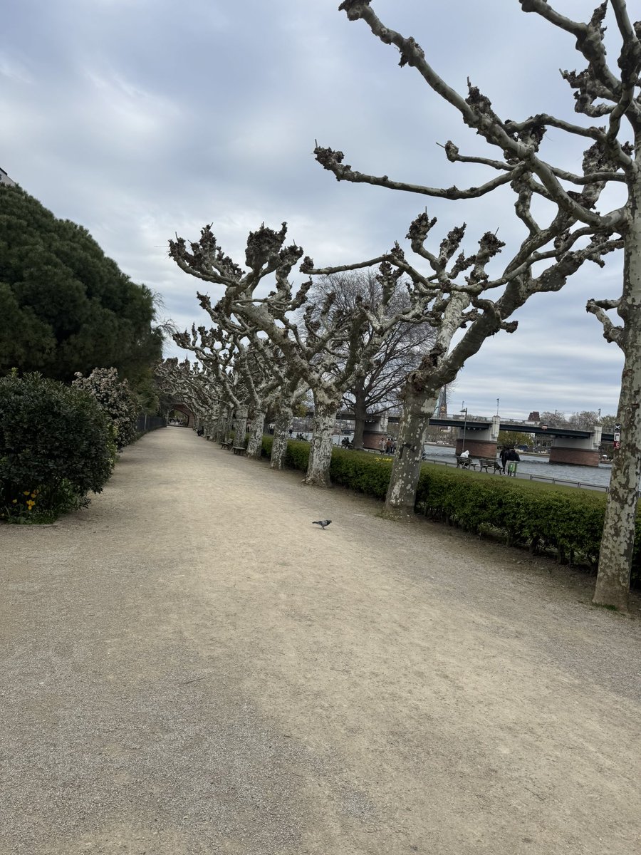 Amira🇵🇸🇺🇿 tweet media