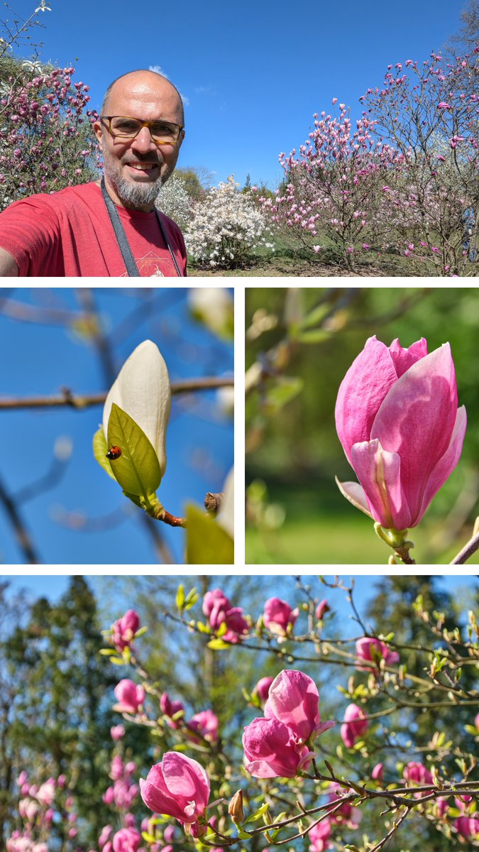 PCzanik's tweet image. The #Easter weekend is over. I had big plans about making my time useful with #LLL (life long learning): #ArtificialIntelligence, #coding, even a bit of #psychology.
Instead of that I went #biking, visited friends and family, a #BotanicalGarden, even a bit #gaming.
No regrets 🥰