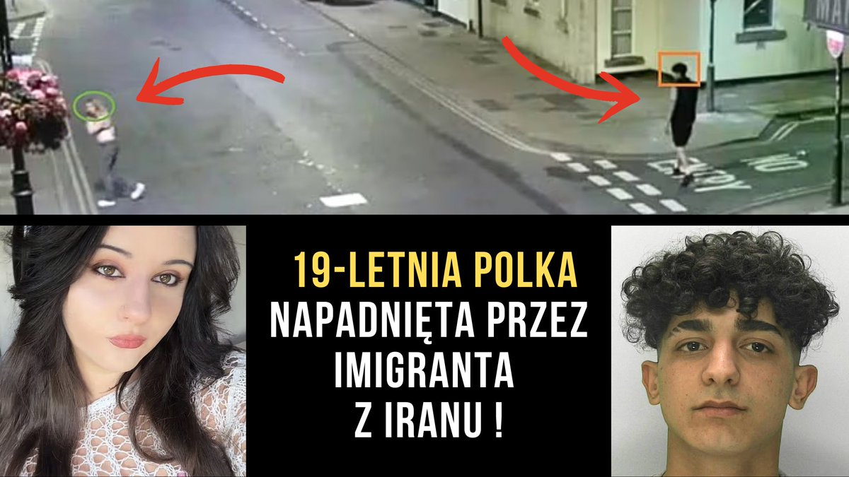 Bruno Topola tweet media