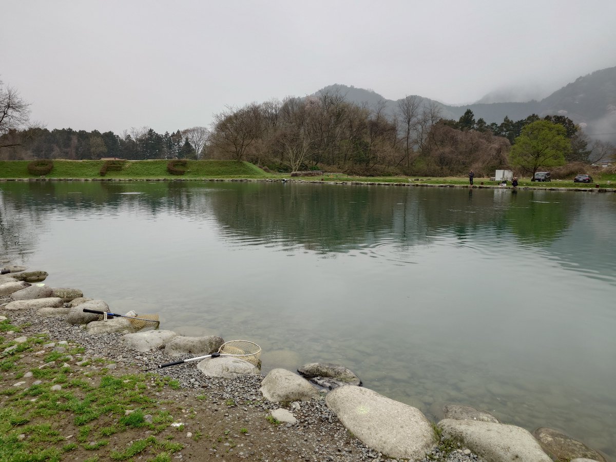 🇯🇵百鬼丸🏍🐱 tweet media