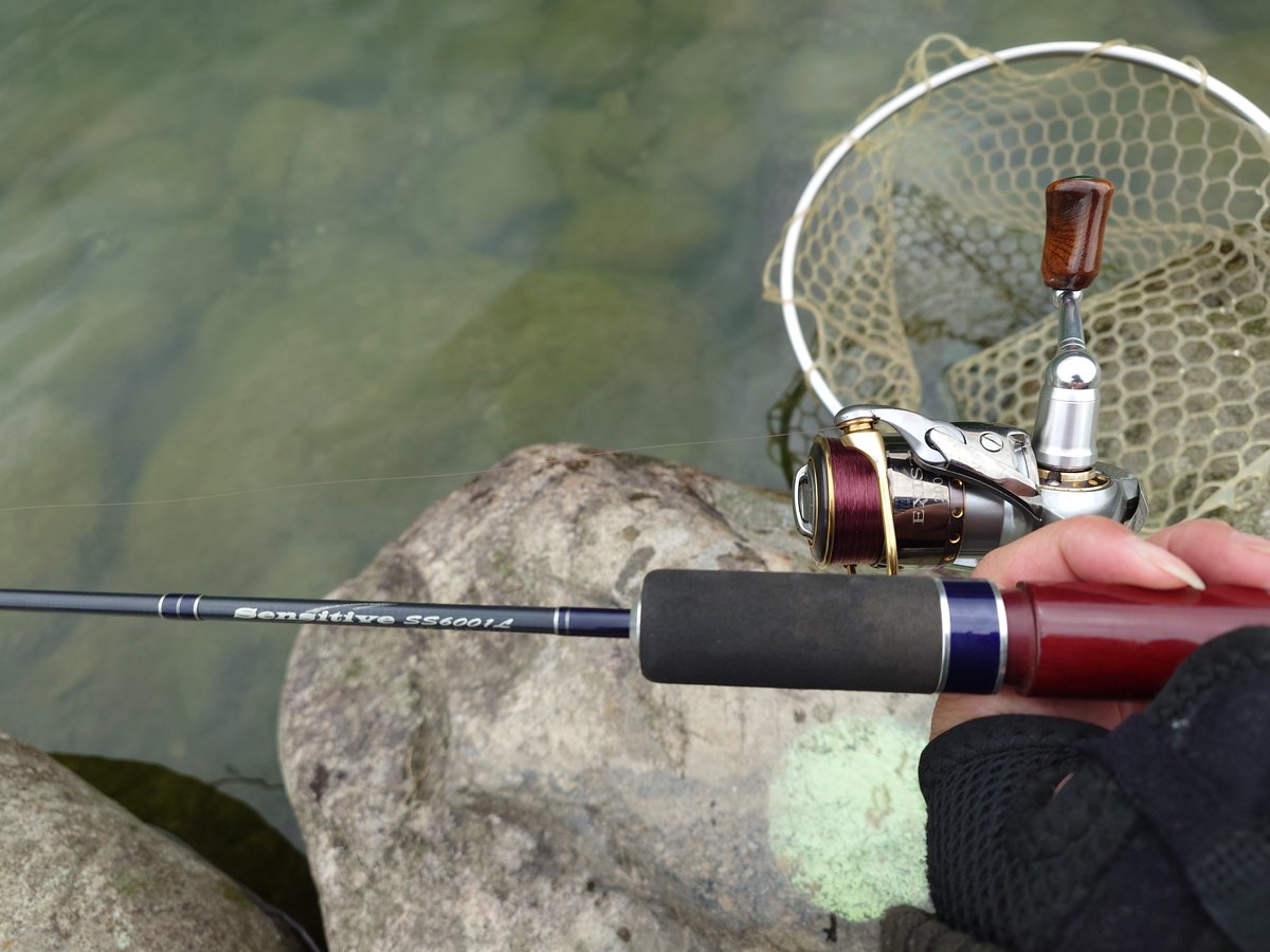 🇯🇵百鬼丸🏍🐱 tweet media