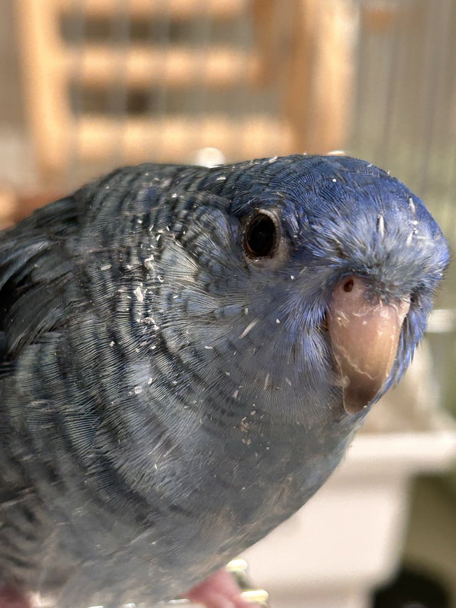 丸ちゃん tweet media